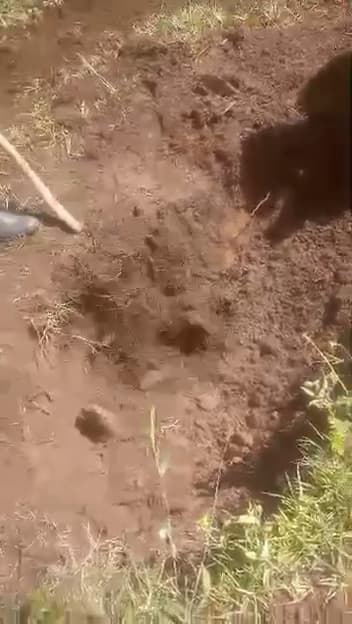 WhatsApp Video 2026-04-20 at 10.27.14.00_00_05_17.Still002